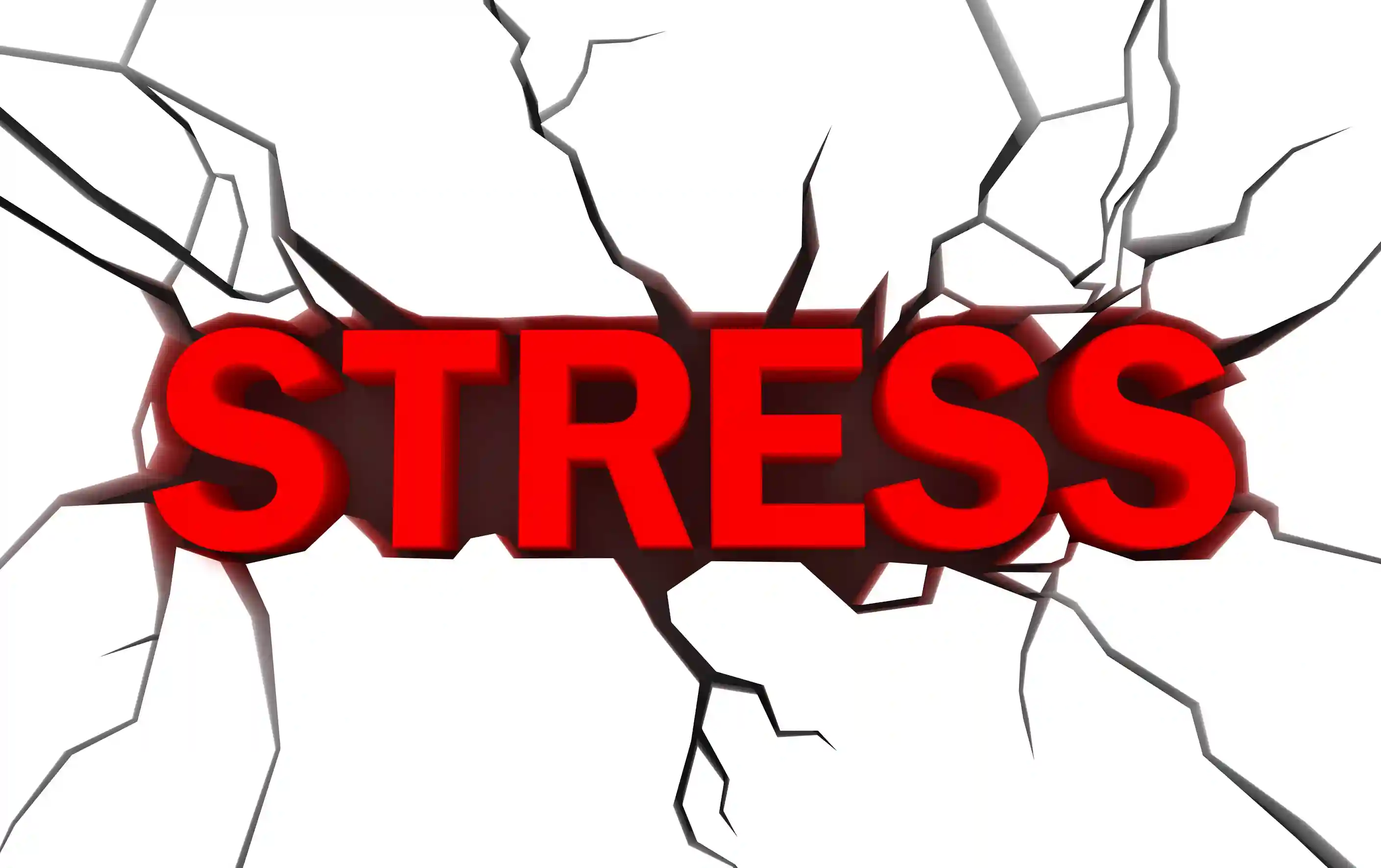 More than 72% of Zimbabwean workers suffer from stress and depression: Industrial Psychological Consultants