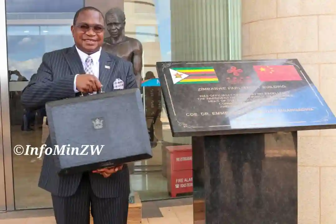 Mthuli Ncube Projects 6% GDP Growth For Zimbabwe In 2025