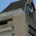 Mthuli Seeks Entrance Into ZANU PF Provincial Structures