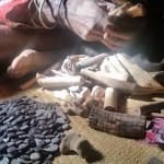 Mufakose Man Dies In Excruciating Pain After Bedding Witch Doctor's Daughter (14)