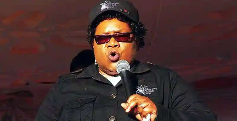 Mugabe is the past, I am the future: Mujuru