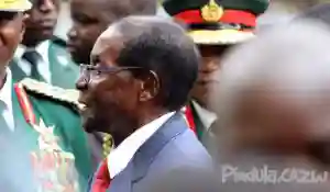 Mugabe's holiday will cost $6 million - Biti