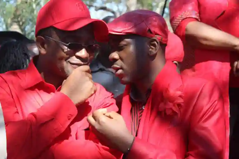 Mwonzora's Only Value To Mnangagwa Is To Drain Chamisa - Magaisa