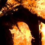 Mysterious Nyanga Fires Becoming More Vicious