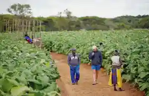 New Generation Of White Farmers Return To 'Their' Land