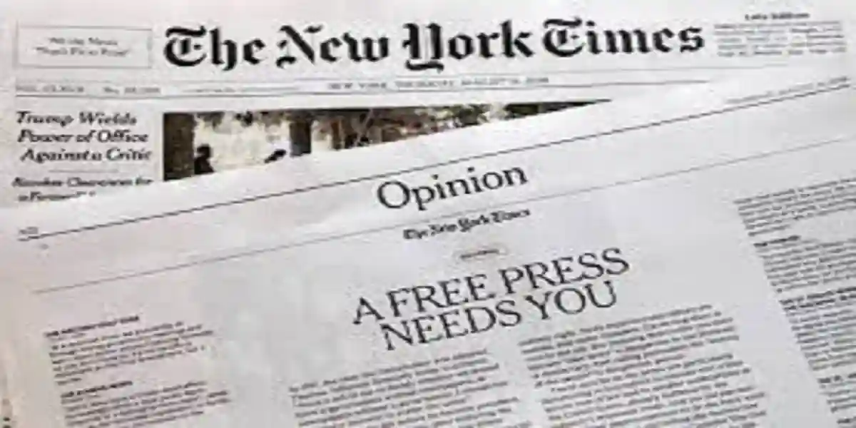 Nick Mangwana Speaks On Detained New York Times Journalist