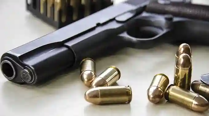 Only Eight Weapons Surrendered Under Firearms Amnesty - ZRP