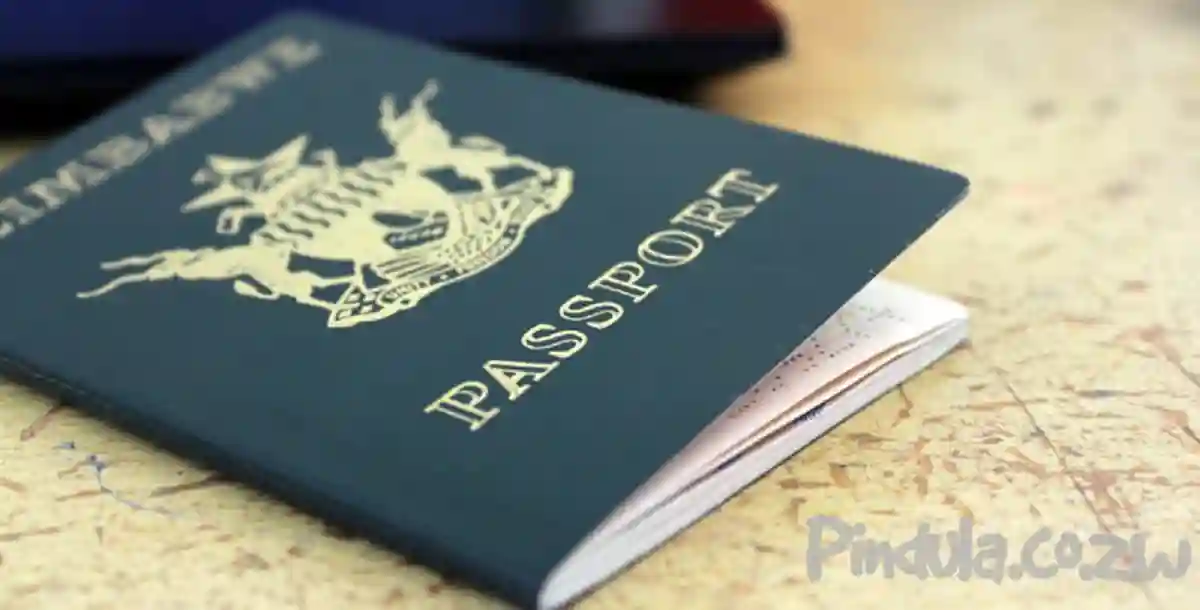 Passport Backlog To Clear By December 2021 - Govt