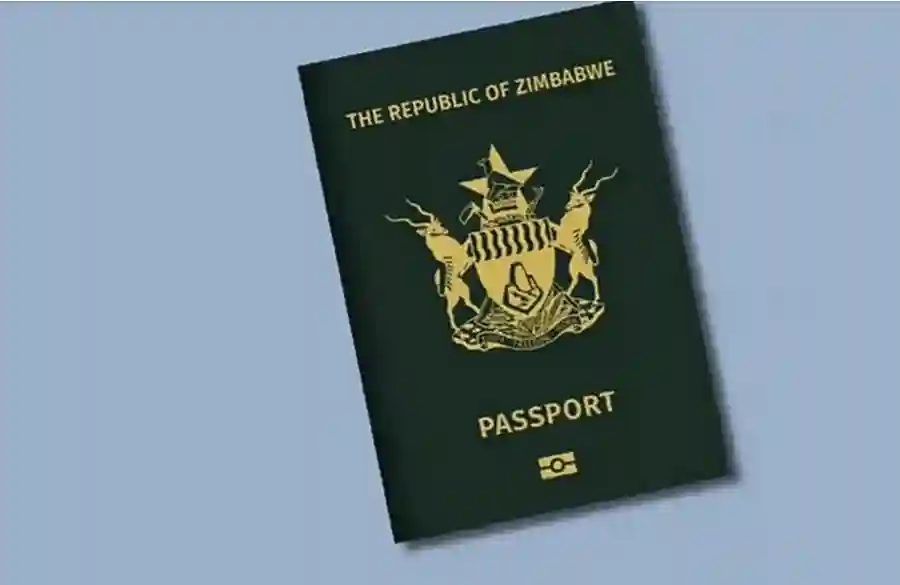 Passport Fee Hike May Increase Illegal Immigration To South Africa