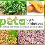 Peta Agro Offers Agric Training In Green Beans, Soya Beans, Sugar Beans & Butternuts