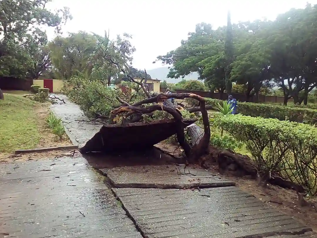 PICTURES: Dangamvura High School After Cyclone Idai