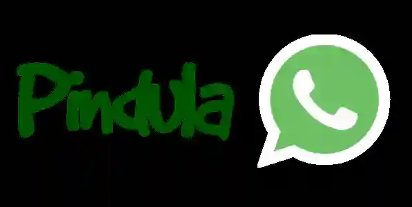 Pindula News Is Now On WhatsApp Via Duta