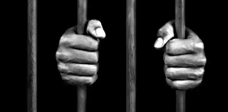 President Mnangagwa Releases Over 1 600 Prisoners As Most Inmates Fail The Test