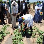 Presidential Rural Development Scheme To Create 840 000 Jobs - Minister Masuka