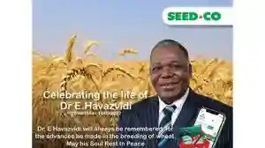 Prominent Seed Co Plant Breeder, Ephrame Havazvidi Dies