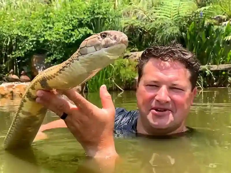 Renowned South African Snake Handler Dies From Green Mamba Bite