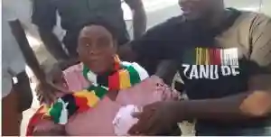 Retired Army General, Engelbert Rugeje, Loses In ZANU PF CC Elections