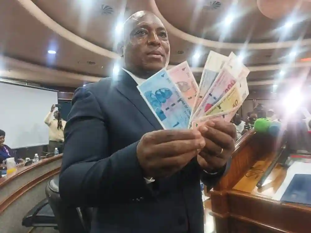 Rushing To Ban Multi-Currency Regime Could Backfire, Warns Mugano