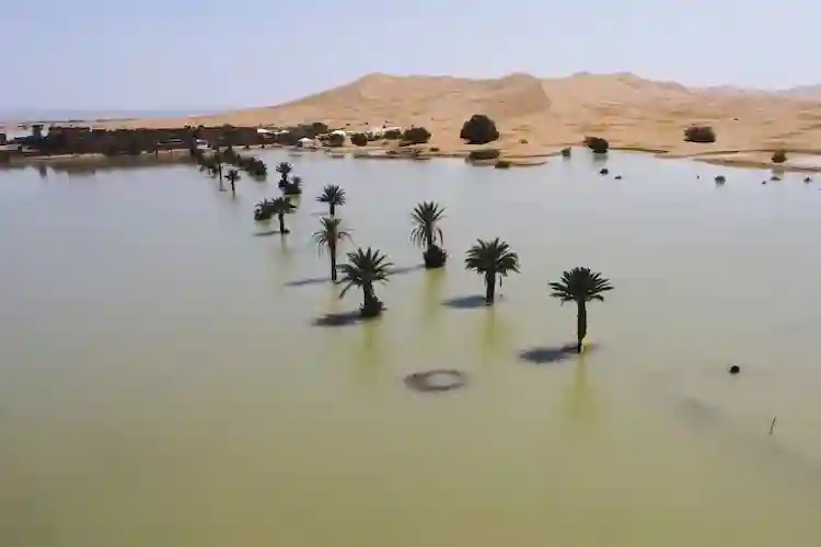 Sahara Desert Experiences First Floods In 50 Years