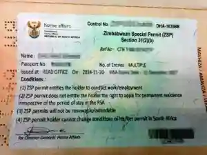 "SA's Home Affairs Lacks Capacity To Deal With Zimbabwean Permit Holders"