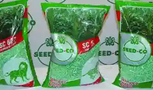 Seed Co Donates 60 Tonnes Maize Meal To Cyclone Idai Survivors