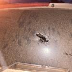 Shots Fired At Chamisa’s Car In Mutare, “Bullet Narrowly Missed Him”