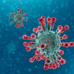 South Africa Coronavirus / COVID-19 Update: 14 January 2022