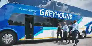 South Africa’s Luxury Bus Company Greyhound Say They Are Back