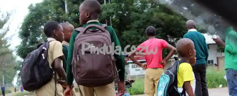 Teachers Unions Divided Over Way Forward, Some Want Strike, Accuse Zimta Of Selling Out