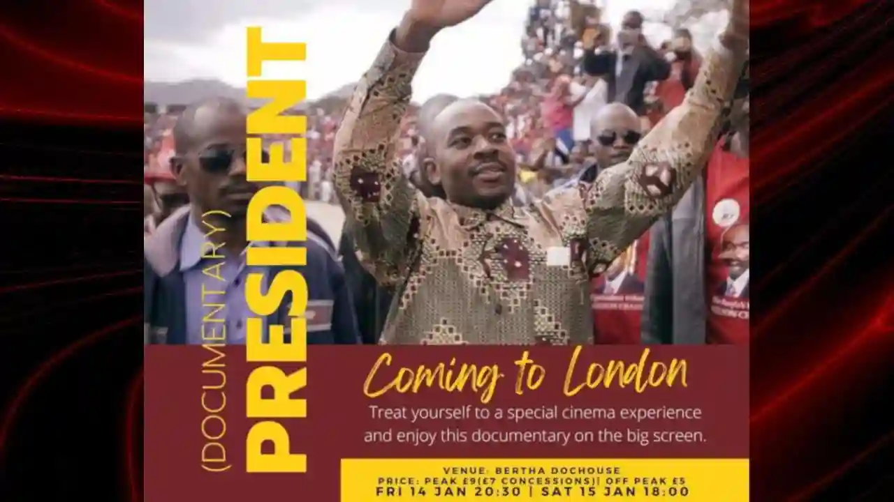Thandiwe Newton Says BFI London Film Festival Rejected Zimbabwe Documentary "President" Due to Political Pressure