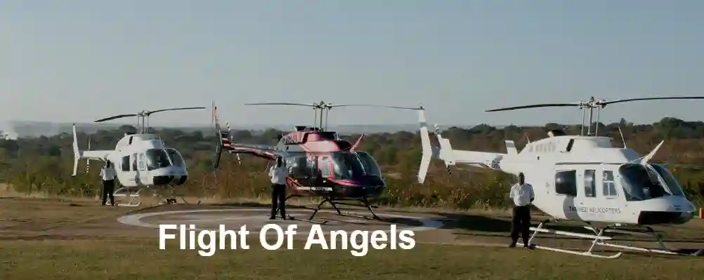 The Flight Of Angels To Resume In Victoria Falls