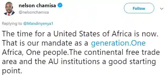 'Time For A United States Of Africa Is Now", Nelson Chamisa