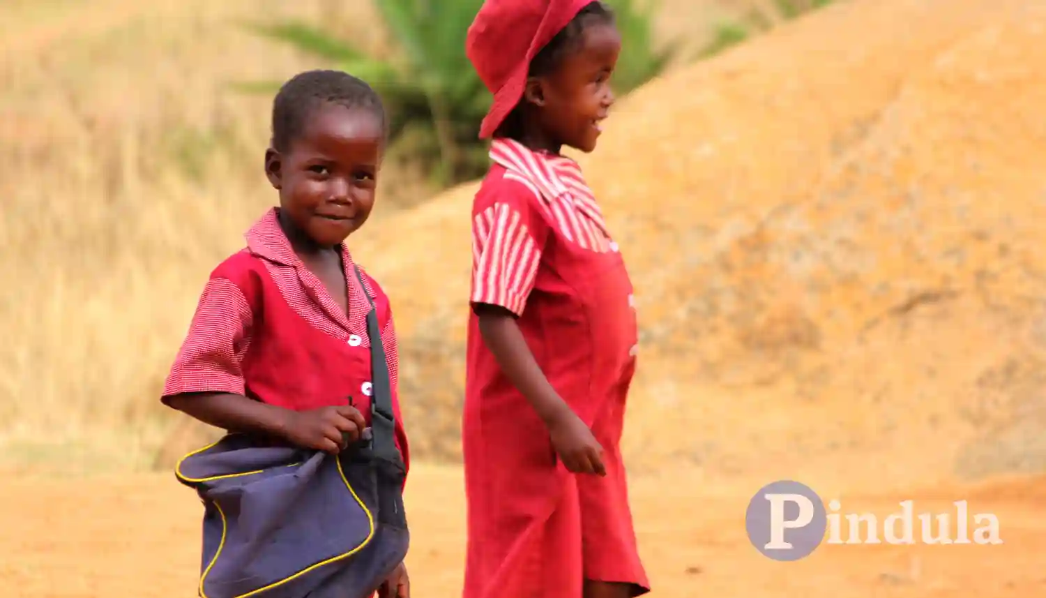 UNICEF Zimbabwe Calls For Collaborative Efforts To Establish Inclusive Educational System