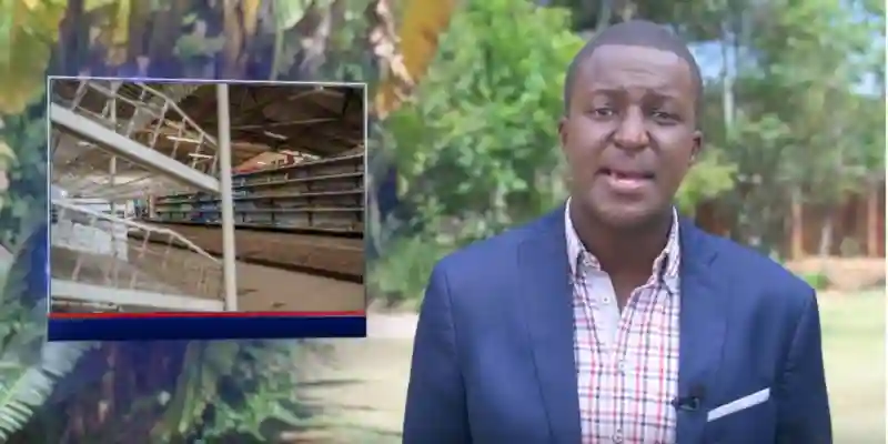 Video: Zororo Makamba On Lifting Of Import Restrictions