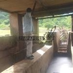 Villagers Threaten To Sue Murowa Over Damaged Dip Tank