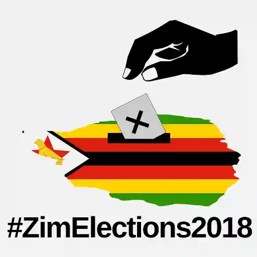 WATCH: How Mnangagwa, Priscilla Chigumba Stole The 2018 Presidential Election - Edmund Kudzayi