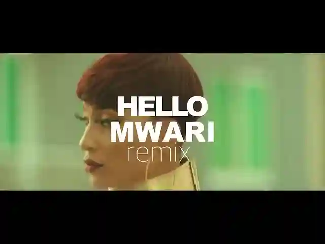 WATCH: Jah Master's Hello Mwari Remix Video