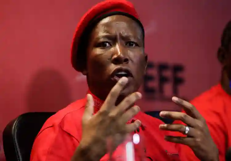 WATCH: Malema Criticises Chamisa For His Pre-election Utterances