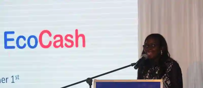 WATCH: Thank You Zimbabwe For Your Patience During Our System Upgrade - Ecocash CEO