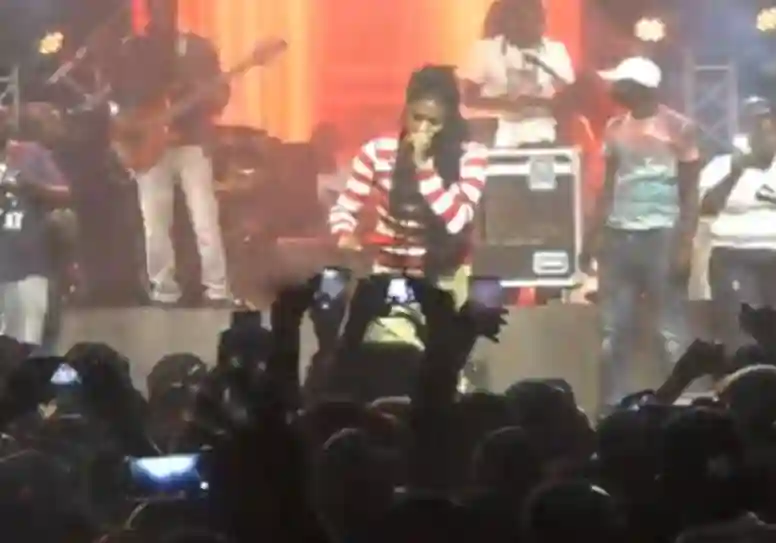 WATCH: Zanu PF Youths Parade ED's T Shirts At Winky D's Concert During the Song Ijipita