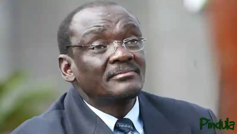 We Are A Junta Government: Kembo Mohadi