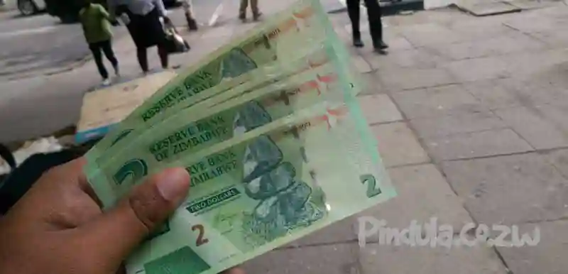We Need To Introduce Our Own Currency Says Mnangagwa Adviser