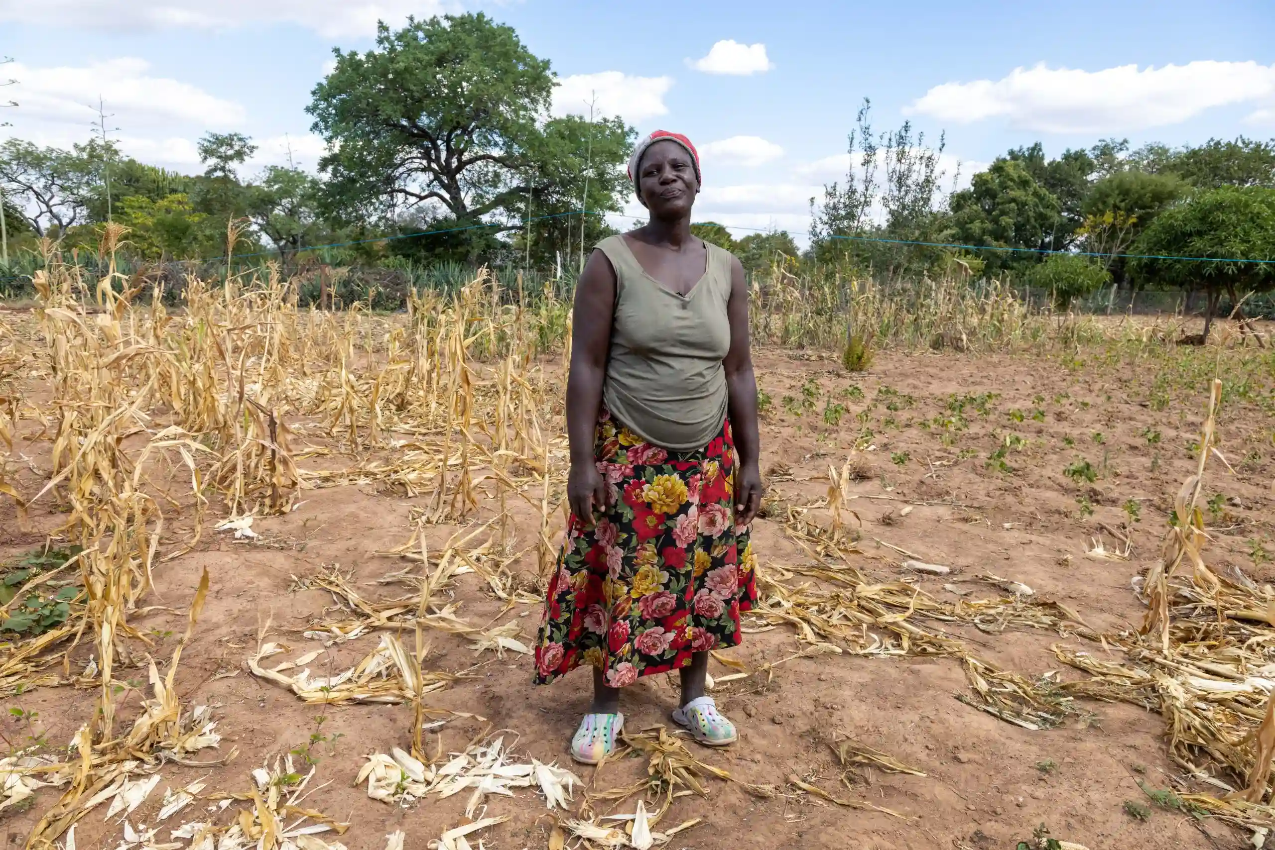 WFP Intensifies Support For Zimbabwe As El Niño Drought Causes Severe Food Shortages