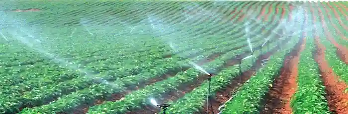 Woman Expelled From Irrigation Scheme Over CCC Links Reinstated