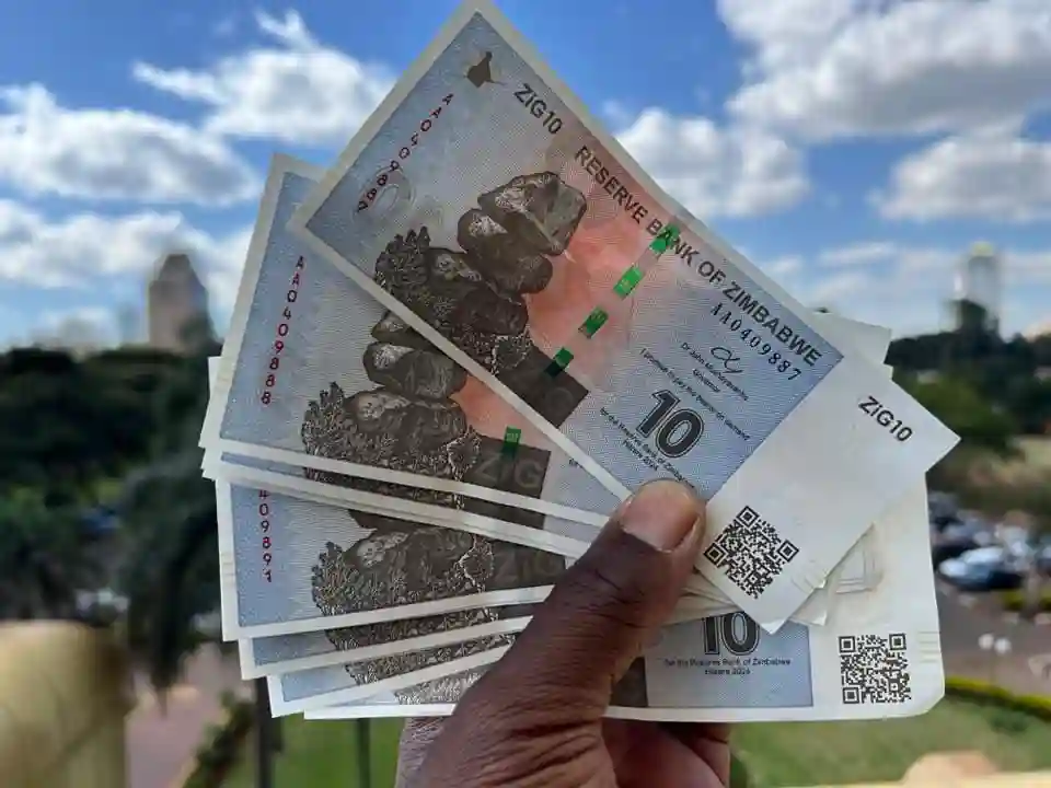 ZANU PF Businesspeople Reject ZiG Currency