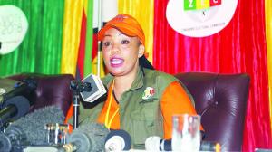 ZEC Cancels By-elections In Some Parts Of The Country