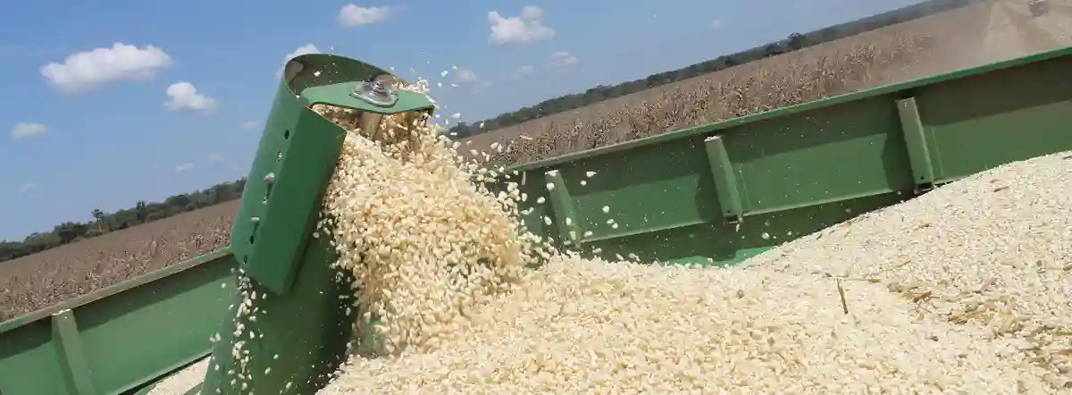 Zim Engages Tanzania & Zambia For Transportation Of 17 000t Of Maize From Tanzania