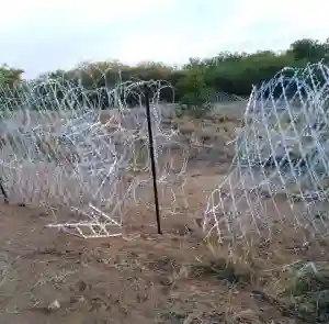 'Zim Soldiers, Police Assisting Border Jumpers Cross Into SA'