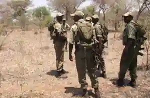 Zimbabwe And Zambia In Joint Operation To Locate Missing ZimParks Rangers