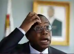 'Zimbabwe Is On The Brink Of Collapse', Mthuli Begs For Financial Bailout